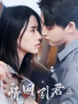情网引君